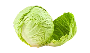 畅销精选 - 开云